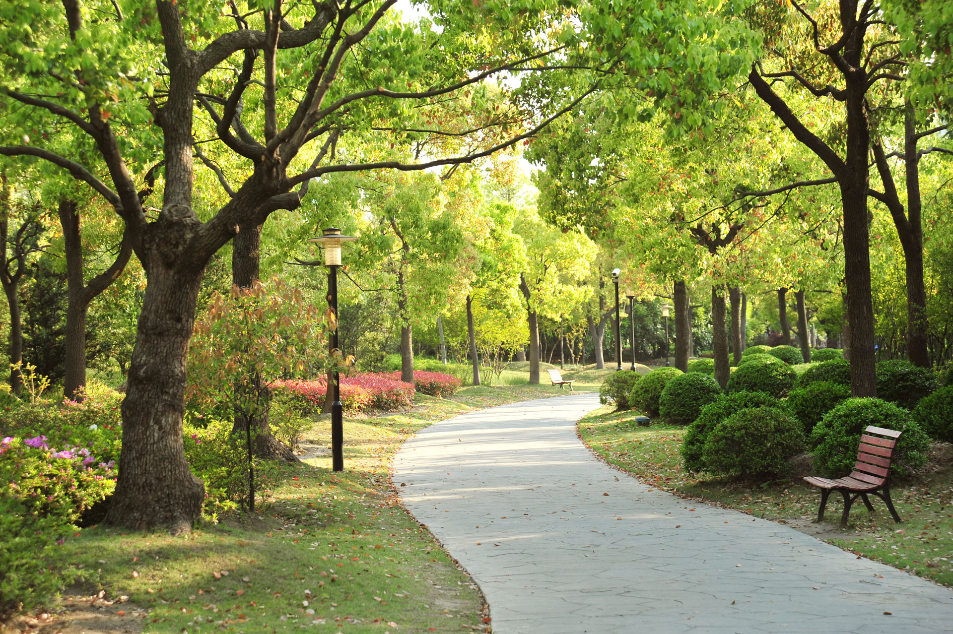 Çevre Düzenleme İşleri